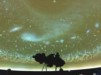 Silhouette trees at night