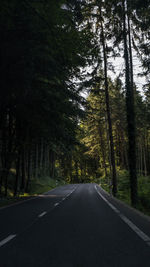 Empty road amidst trees in forest