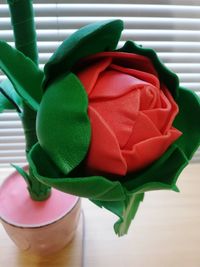 High angle view of multi colored rose on table
