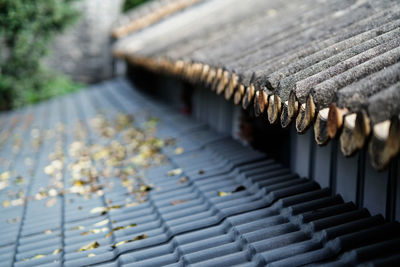 Close-up of shopping carts in row