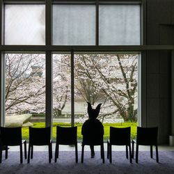 Rear view of woman in animal mask sitting on chair