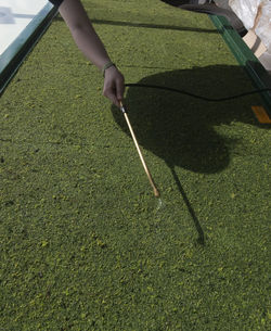 Midsection of person holding umbrella on field