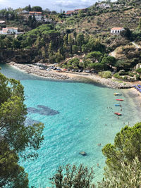 High angle view of sea and trees