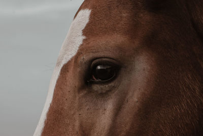 Close-up portrait of man