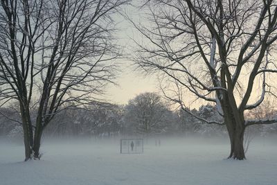 Bare trees on snowy field during winter