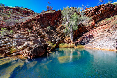 View of trees on cliff against blue sky