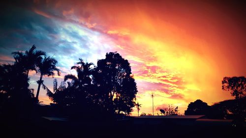 Silhouette trees against sky during sunset