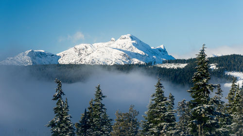 Scenic view of snowcapped mountains against clear blue sky