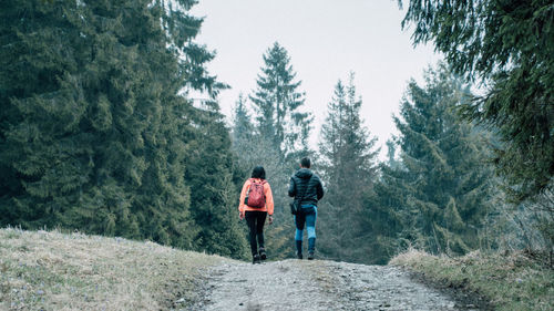 Rear view of man and woman walking on pathway towards trees in forest