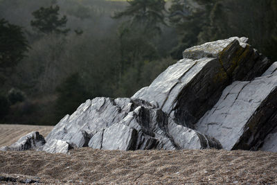 Close-up of rock