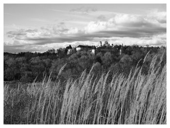 Panoramic view of field against sky