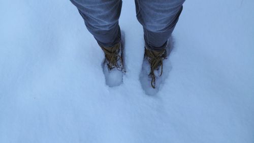 Low section of man on snow covered