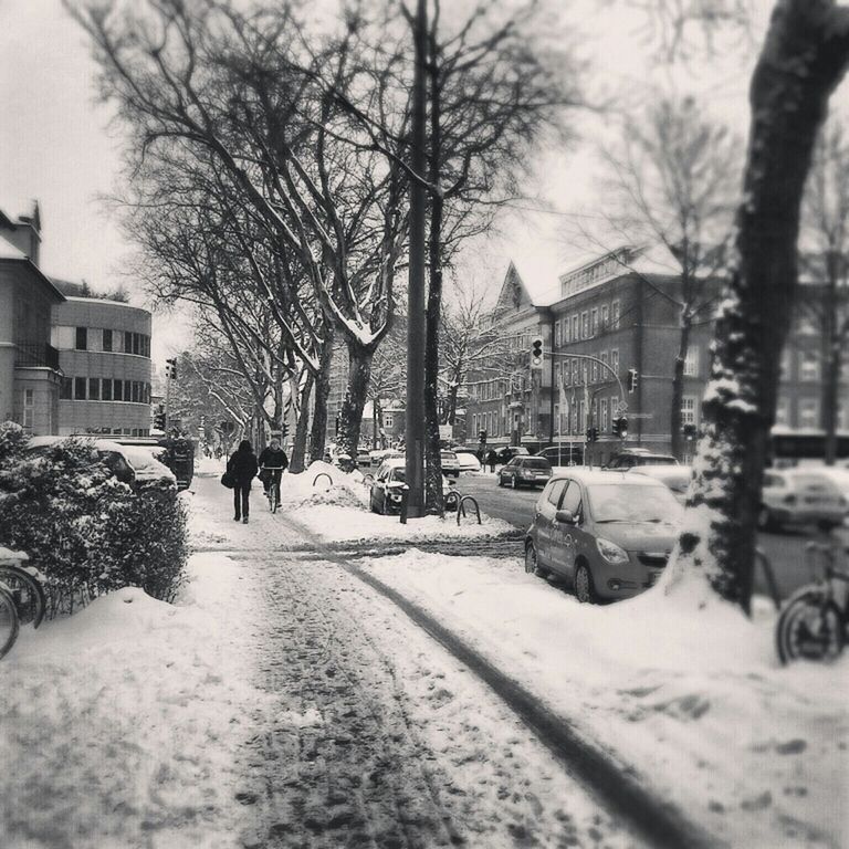 snow, winter, cold temperature, season, building exterior, walking, weather, bare tree, architecture, street, built structure, tree, the way forward, rear view, full length, men, city, lifestyles