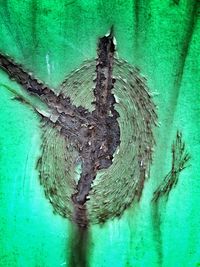 Close-up of weathered wall