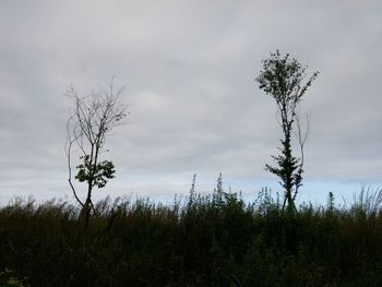 Scenic view of field against cloudy sky