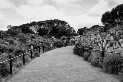 Dirt road along plants and trees against sky