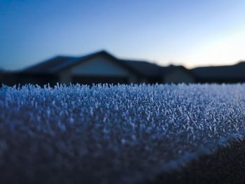 Surface level of frosted land against mountains
