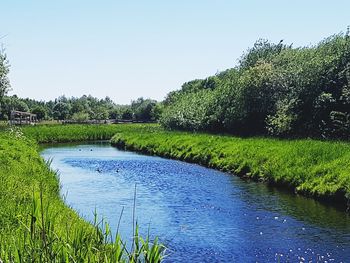 Scenic view of lake against clear blue sky