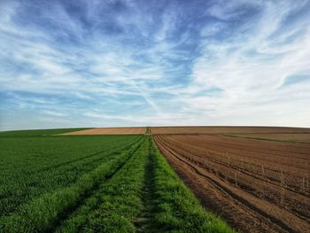 Scenic view of agricultural land against sky