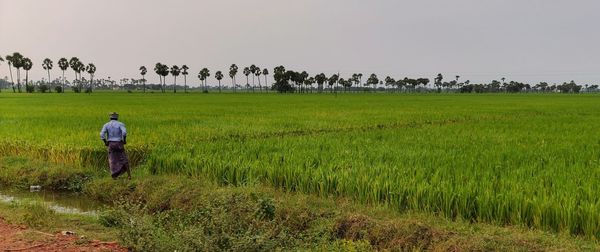 Rear view of farmer standing on field against sky