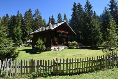 House by trees against clear blue sky