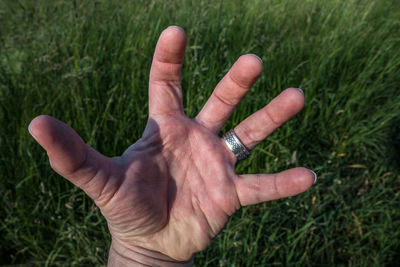 Close-up of hand holding grass