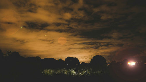 Low angle view of silhouette trees against sky at night
