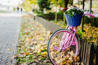 Close-up of bicycle in basket