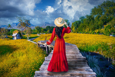 Asian woman visit wooden hut in a yellow flower field and valley in lopburi, thailand