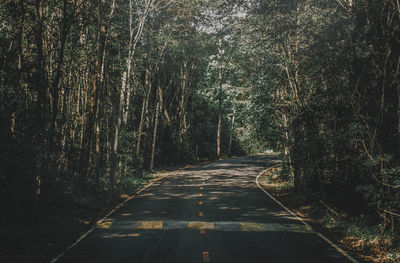 Empty road amidst trees in forest