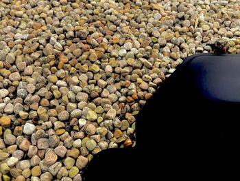 High angle view of stones on shore