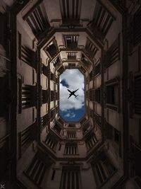 Low angle view of airplane seen through buildings