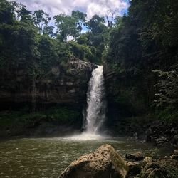 Scenic view of waterfall in forest