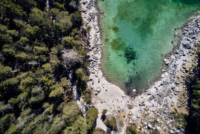High angle view of trees on beach