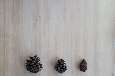 Directly above shot of pine cones on table