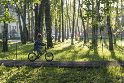 Man riding bicycle in forest