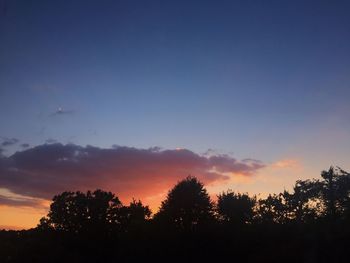 Silhouette of trees at sunset