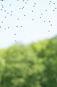 Full frame shot of wet spider web against sky