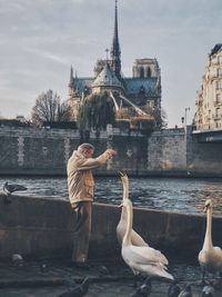 Man feeding geese by the lake