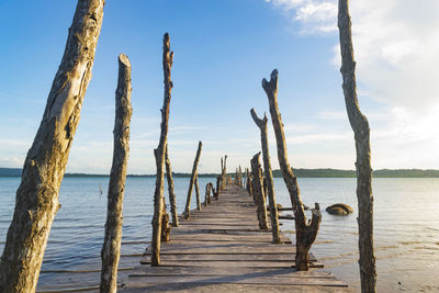 Wooden pier on sea against sky