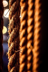 Close-up of rope hanging on wood