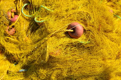 Close-up of fishing net