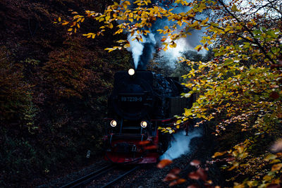 Train on railroad tracks during autumn