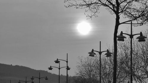 Low angle view of bare trees against sky