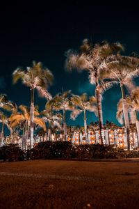 Low angle view of palm trees by illuminated building against sky at night