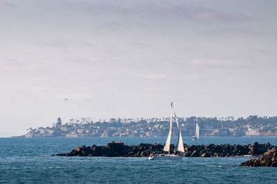 Sailboats sailing on sea against sky