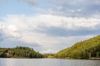 Calm lake with trees in background