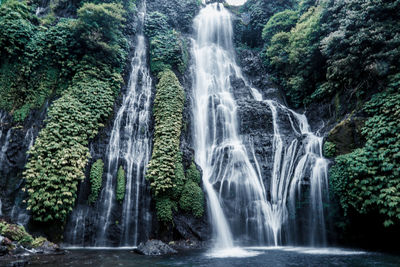 Scenic view of waterfall in forest