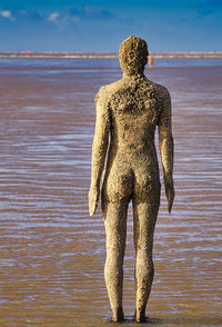 Rear view of statue on beach