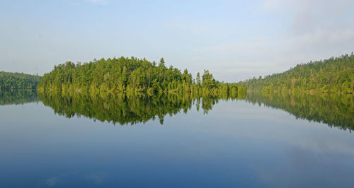 Scenic view of lake by trees against sky